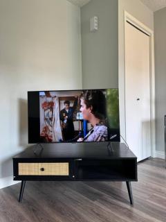 Modern home in Downtown Wpg - 5