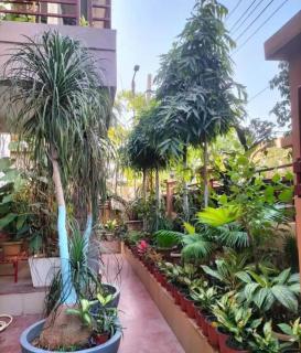 The Divine Home Stay - Guwahati - 9