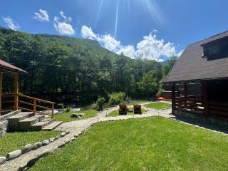 Woods Retreat - 3