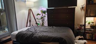 A room in a shared house - London - 1