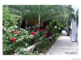 Katerina Apartments - Pefkochori - 9