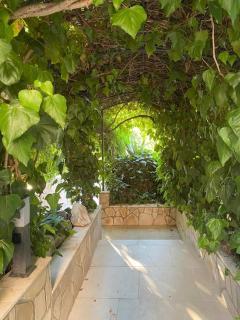 Spacious Apartment, Villa Tania - Hvar - 2