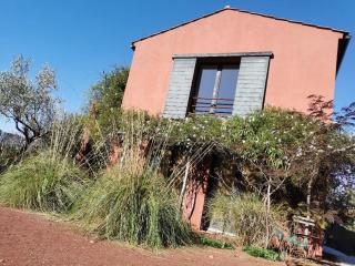 Studio Orange Oasis - 2