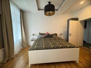 Boutique Hotel Pension Luisengrün Küche 1Gbs WLAN Netflix Disney MagentaTV - Chemnitz - 1