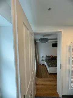 Boutique Hotel Pension Luisengrün Küche 1Gbs WLAN Netflix Disney MagentaTV - Chemnitz - 8