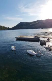 Egersund Overnatting Tengsastranda - Egersund - 9