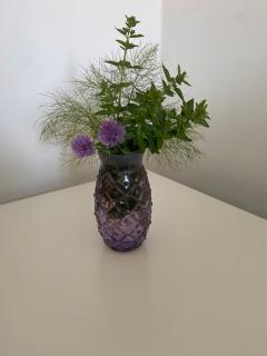 Lavender Cottage - Gorges - 7