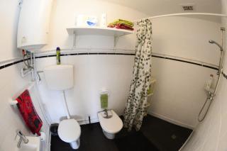 Agra Pet House II - Milheirós - 9