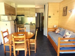 Studio 27m2 - Ancelle - 1