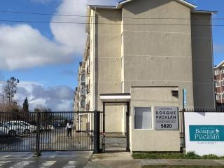 Cómodo Dpto en condominio residencial - Puerto Montt - 2