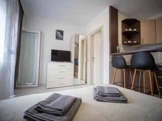 Apartman T-1 Srebrno jezero - Veliko Gradište - 4