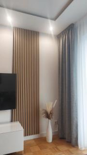 Das Platanenhaus - Ferienwohnung am Bodensee - Friedrichshafen - 4