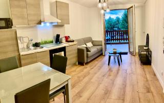 Appartement ALBIGNY Centre Lac Annecy - Annecy - 8