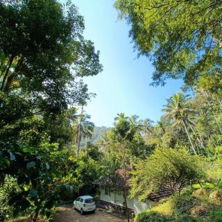 Immerse in Natures Beauty at Eden Thottam, Idukki - Kattappana - 8