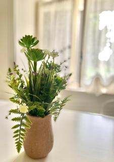 DAL ZARO HOME - - 3