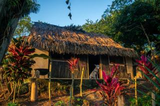 Sierra Nevada Farm Retreat - Nature, Comfort & Sustainability - Palomino - 6