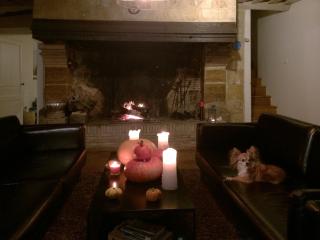 L'oisellerie Cottages - Le Renouard - 4