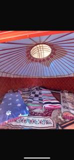 Yurt camp Emin in Altyn Arashan - Altynarasan - 2