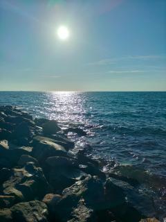 Sun and Sand Focene - Focene - 7