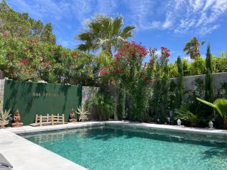 Mineral Saltwater Solar heated Pool & Spa Oasis with mountain views and Koi pond - 9