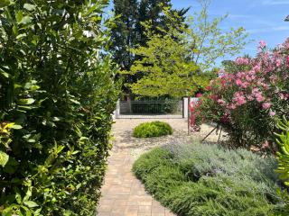 Villa Americana - Privlaka - 6