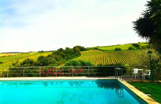 Quinta Santo António - Pereiro da Palhacana - 8