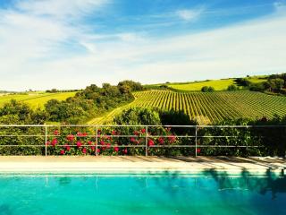 Quinta Santo António - Pereiro da Palhacana - 6