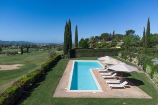 Ulivo nel Borgo Santa Chiara - 3