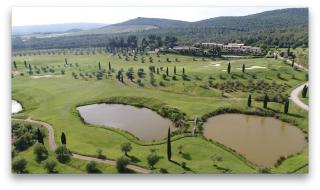 Ulivo nel Borgo Santa Chiara - Gavorrano - 1
