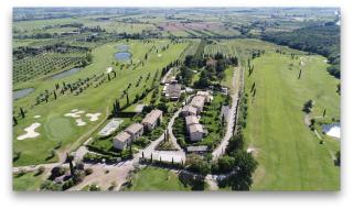 Ulivo nel Borgo Santa Chiara - Gavorrano - 2