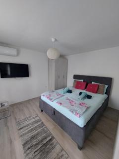 Apartman Stojanović - 5