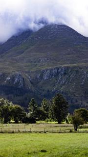 The Hamlet - 1