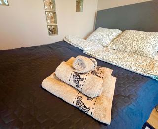 Apartament Roentgena 16 przy Centrum Onkologii i Klinice Novum - Varsavia - 4