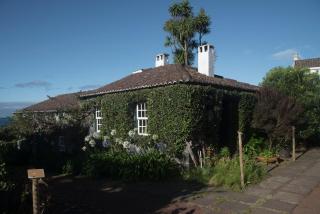 Quinta das Buganvílias - 2