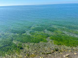 Seyran Seaside - 1-middle floor - Trabzon - 8