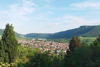 Ferienwohnung Ermstal - Dettingen an der Erms - 1