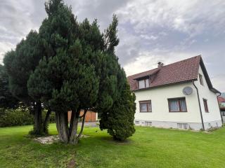 Grüne Auszeit Apartments - Fohnsdorf - 9