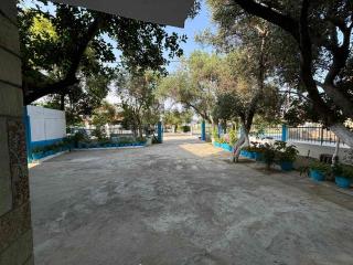 Island Apartments - 6