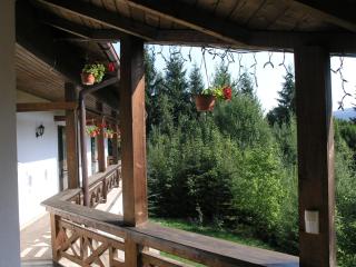 Vila Arcadia Sucevita - Suceviţa - 7