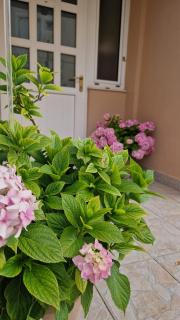 Apartment Lučka - Rab - 7