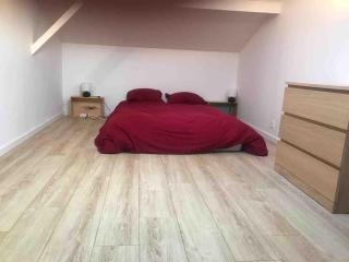 Superbe appartement en duplex lumineux à Gradignan - Gradignan - 4