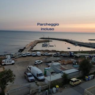 Hotel Gabbiano - Mola di Bari - 8