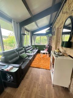 El nido del cuco - 8