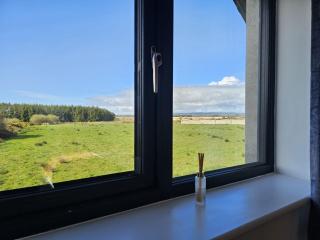 Sea Breeze - Wexford - 8