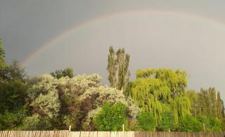 Casa Corazón de viento - 4