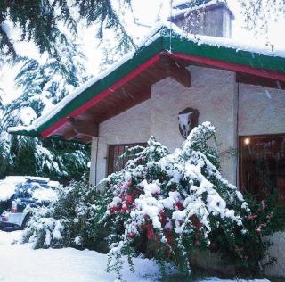 Encantadora Casa con bosquecito - Bariloche - 7
