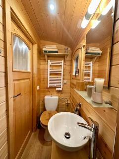 Zauberwagen am Geiseltalsee - 4