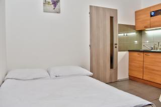 Karlsbad City Apartment - 1