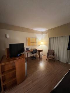 Hotel Live Lodge Vila Mariana Pq Ibirapuera UH1014 - São Paulo - 1