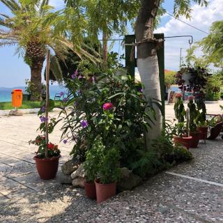 MangoSeaview Home - Nea Roda - 4